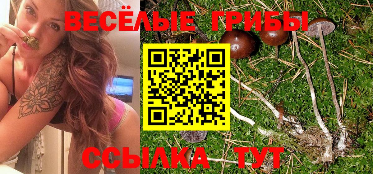 Псилоцибиновые грибы ЛСД  Вход с VPN  Горно-Алтайск 