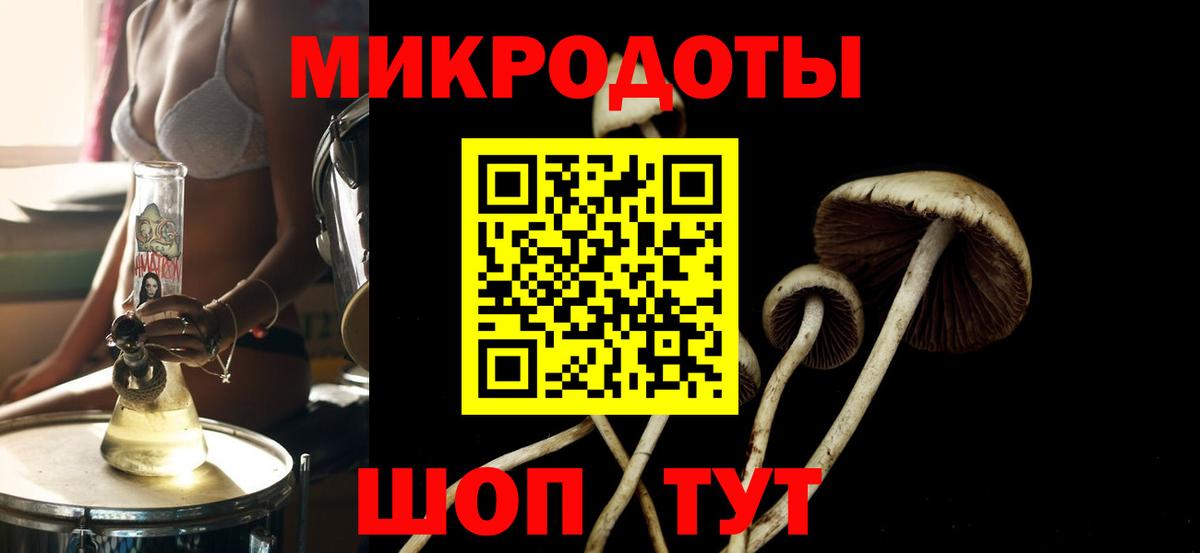 Галлюциногенные грибы мухоморы Горно-Алтайск