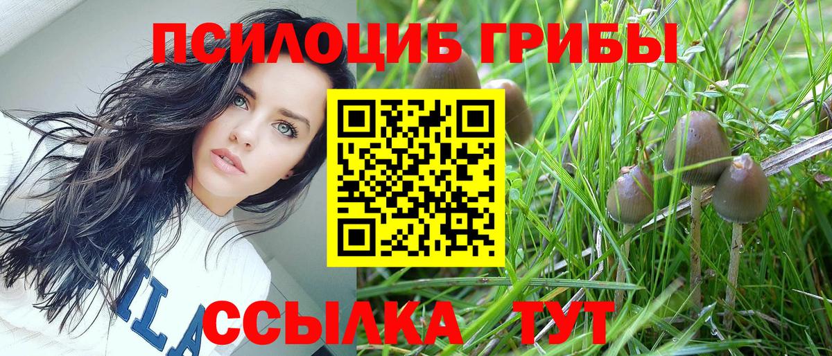 A PVP Горно-Алтайск